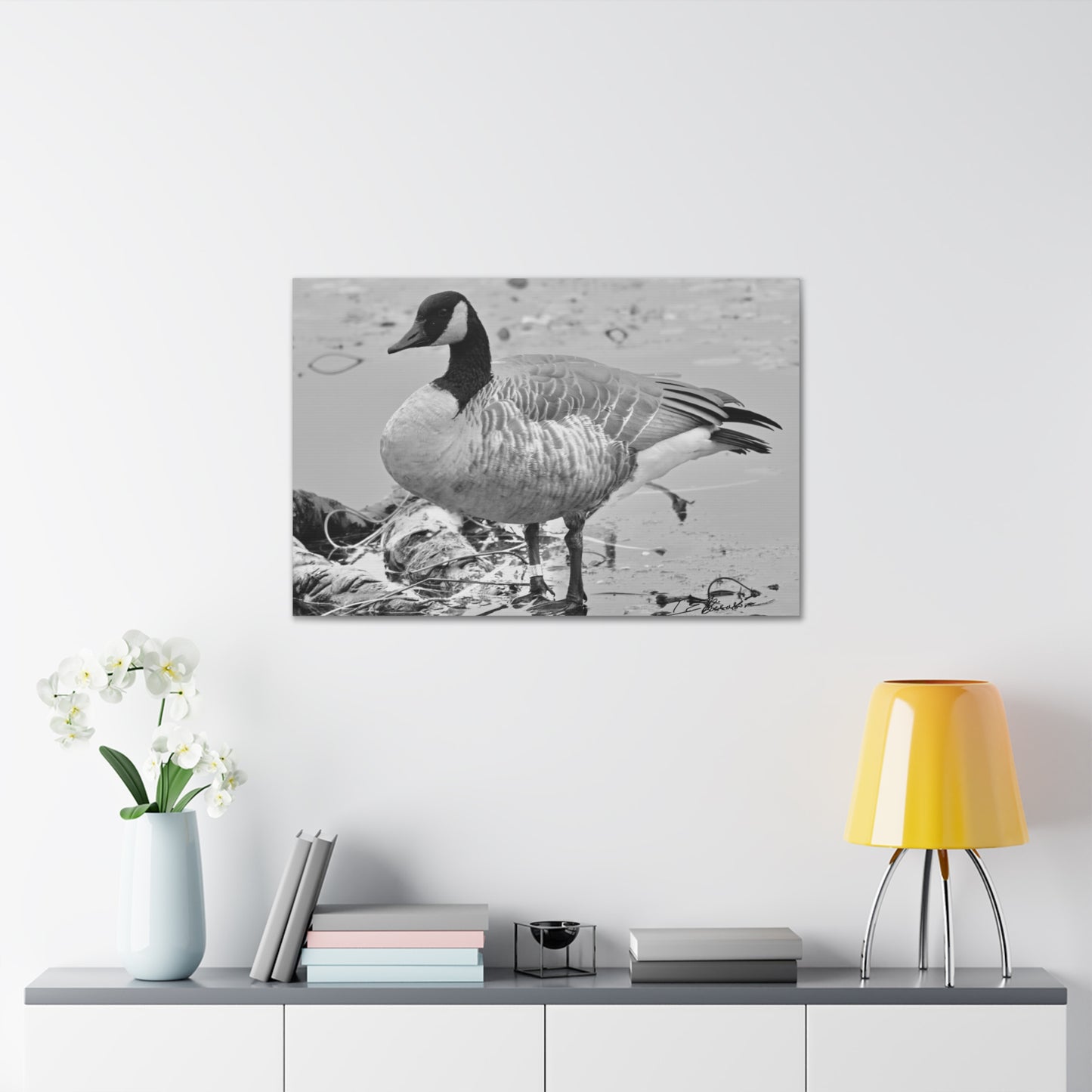 Black and White Photograph of a Banded Goose on Canvas