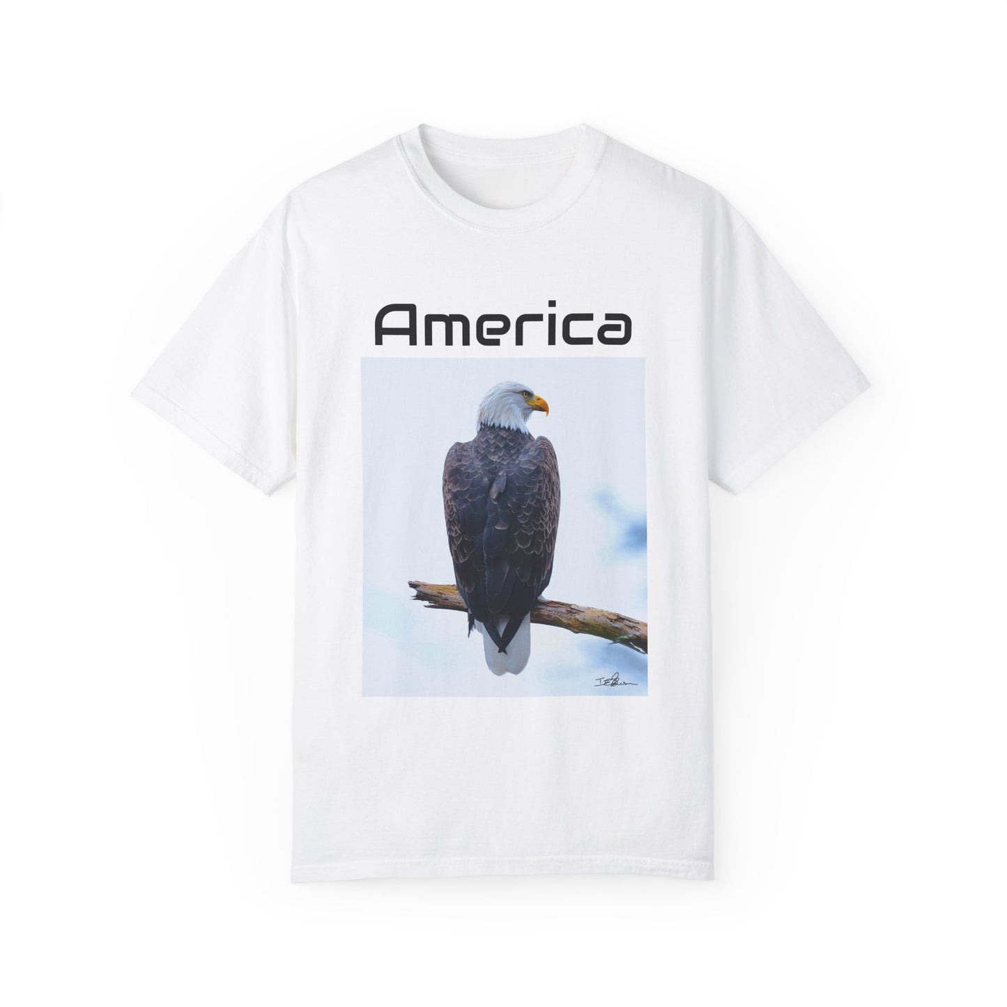America Eagle Tshirt