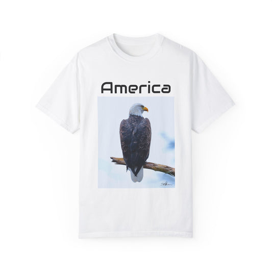 America Eagle Tshirt