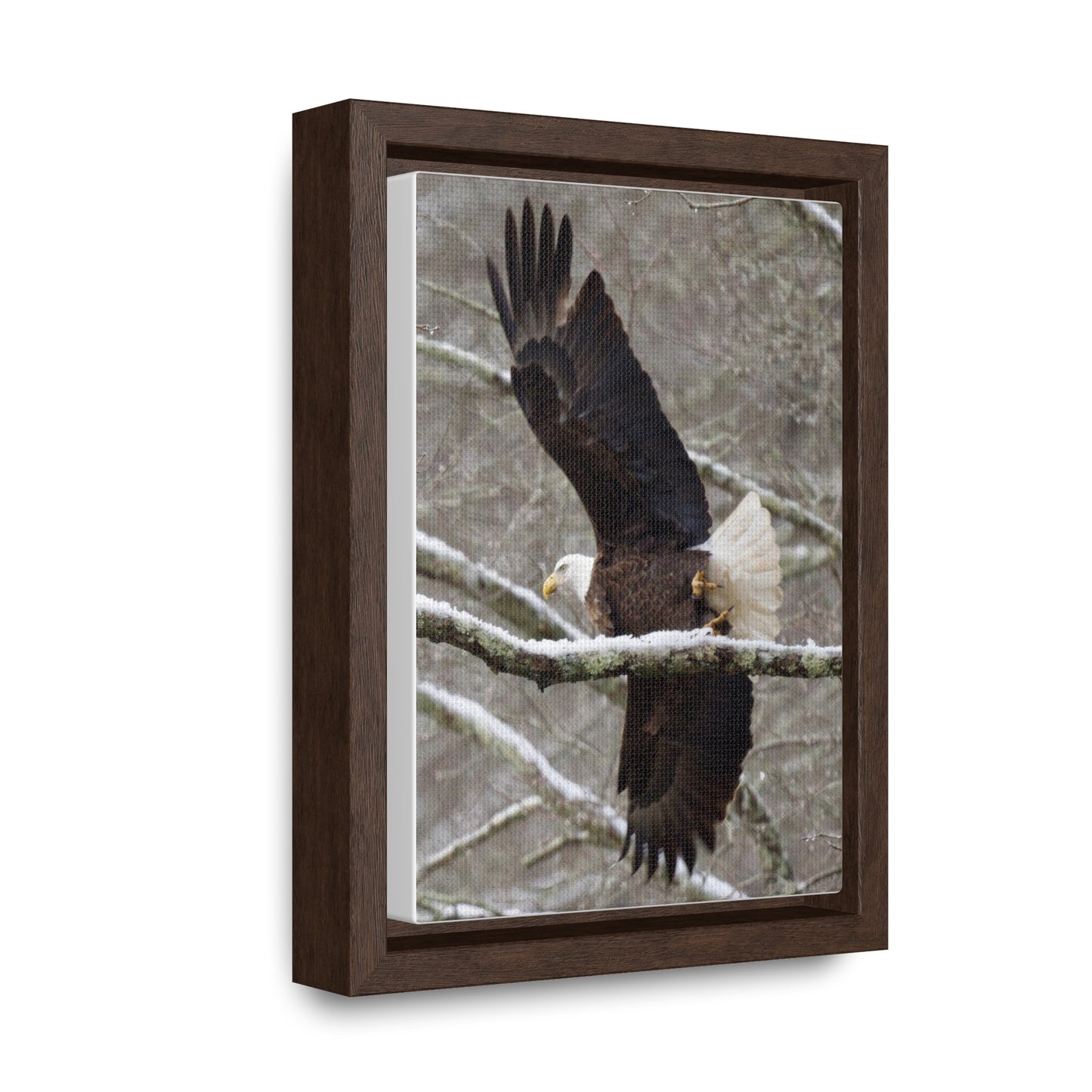 Gallery Canvas Wraps, Vertical Frame