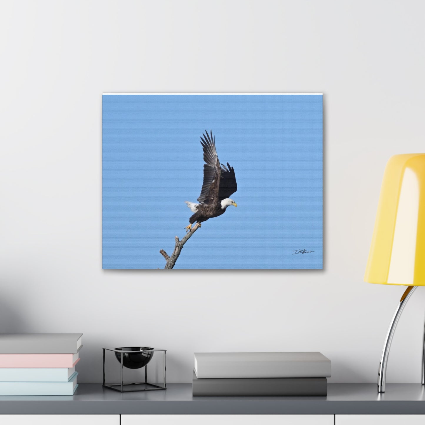 Majestic Bald Eagle Photograph on Canvas