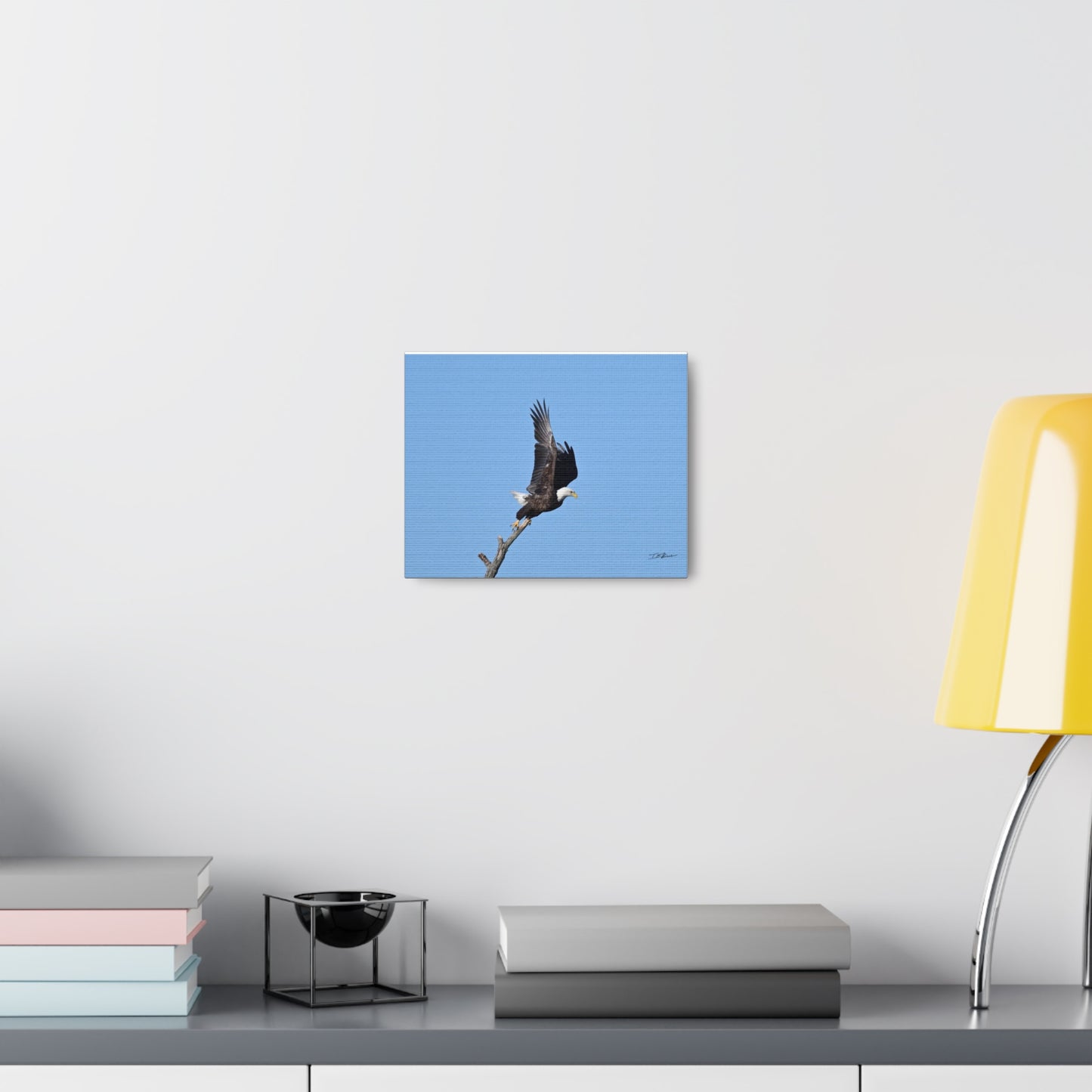 Majestic Bald Eagle Photograph on Canvas