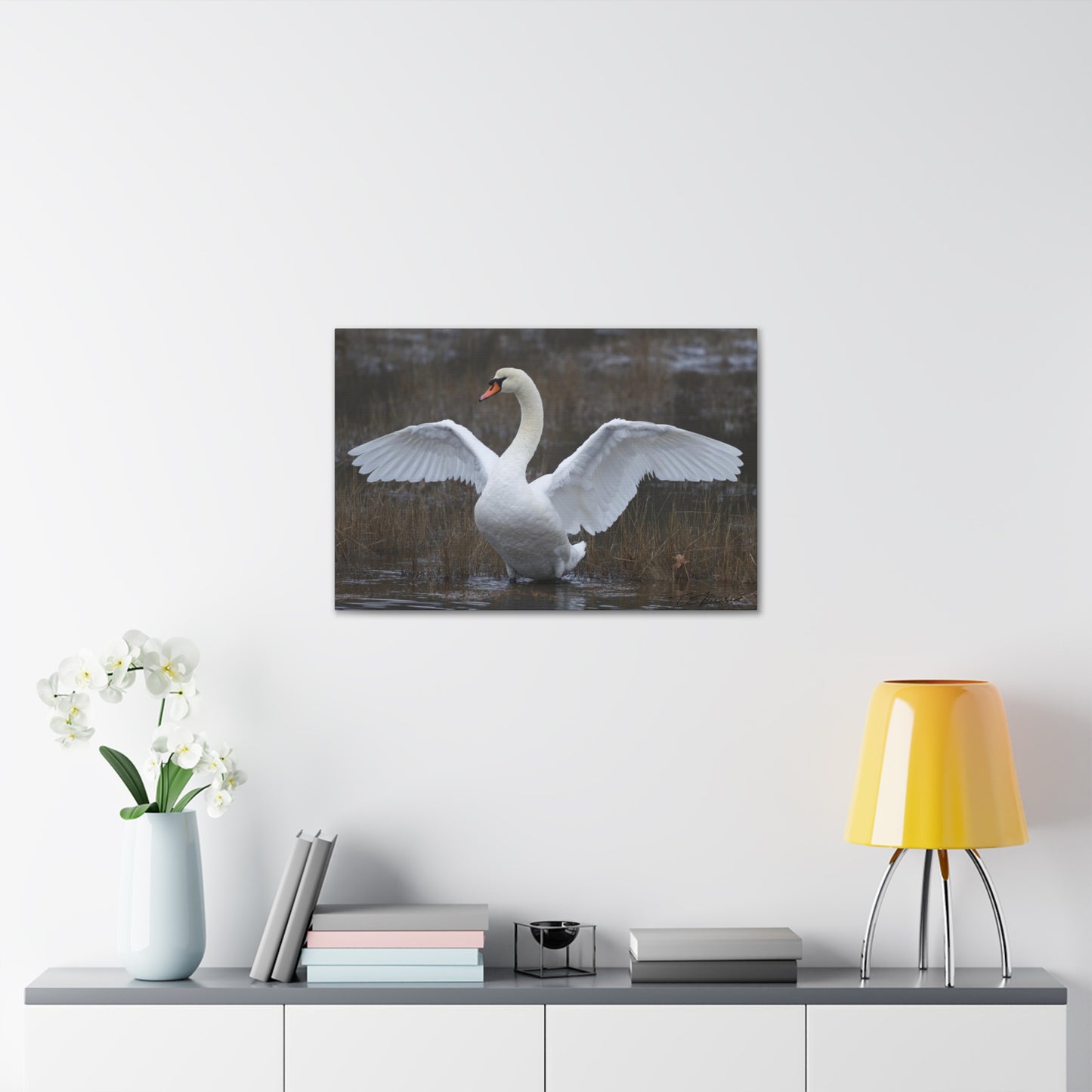 Amazing Swan Photograph on Canvas