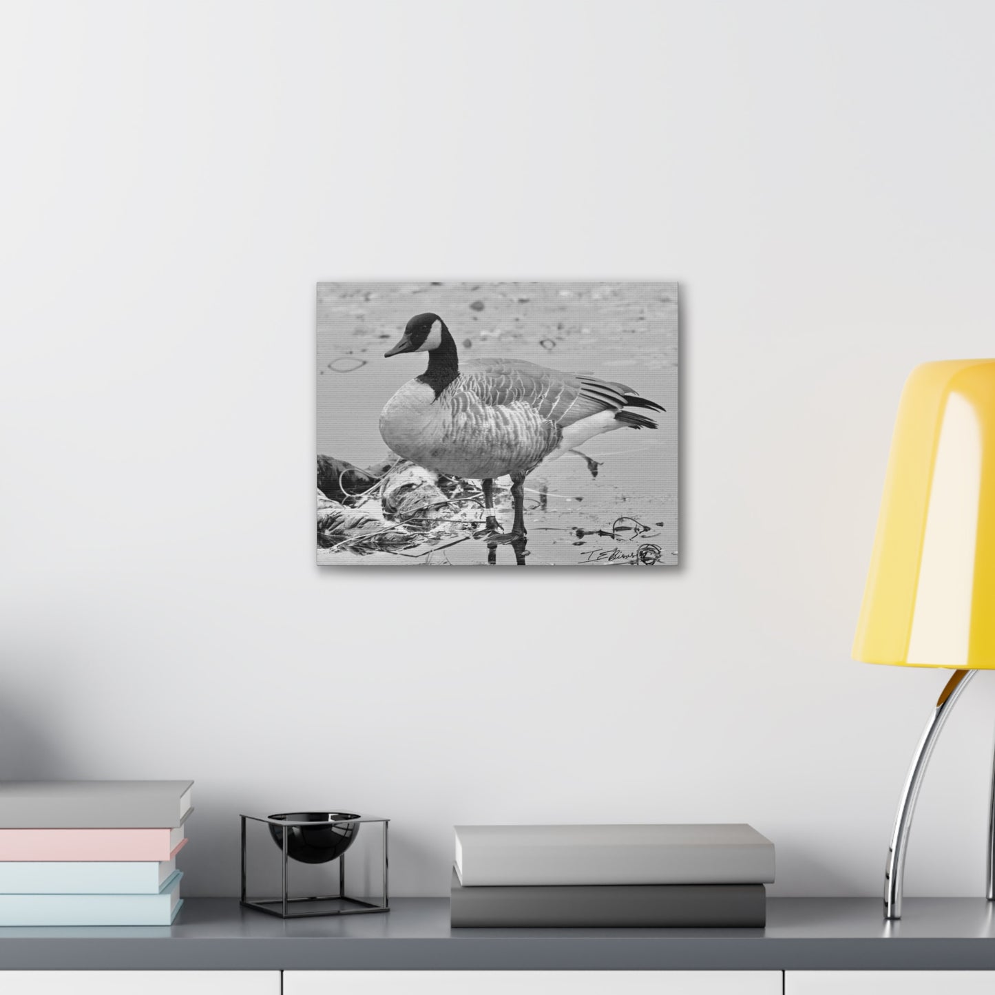 Black and White Photograph of a Banded Goose on Canvas