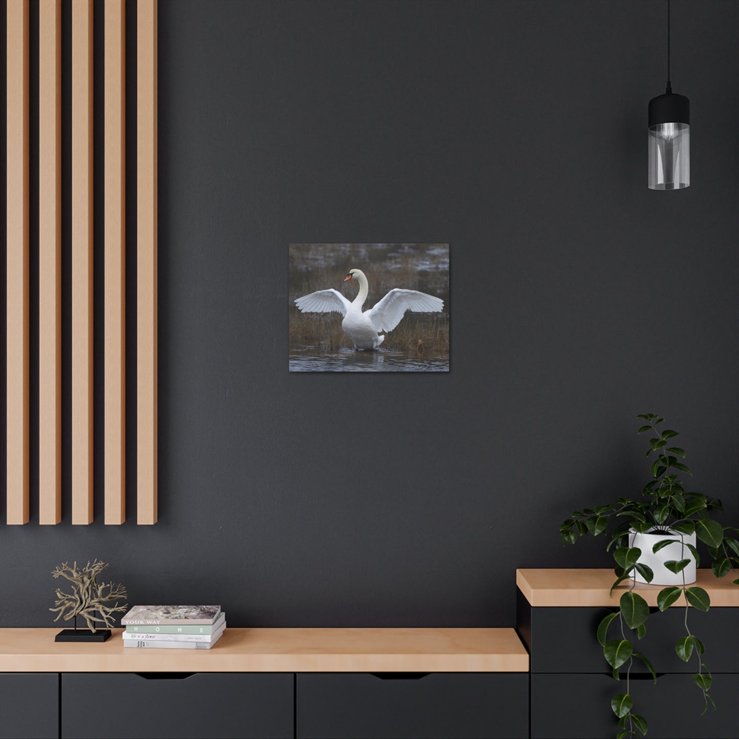 Amazing Swan Photograph on Canvas