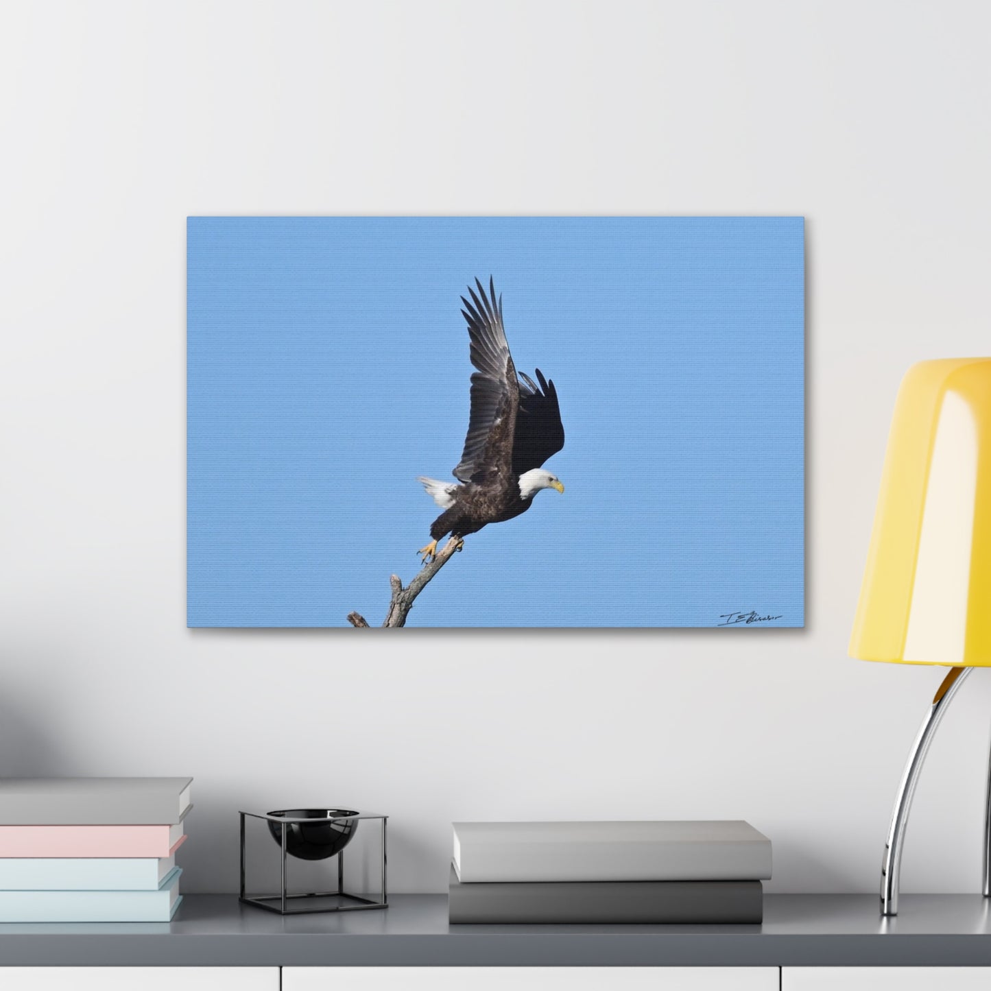 Majestic Bald Eagle Photograph on Canvas
