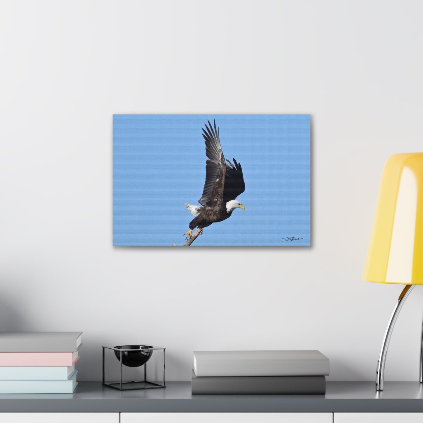 Majestic Bald Eagle Photograph on Canvas