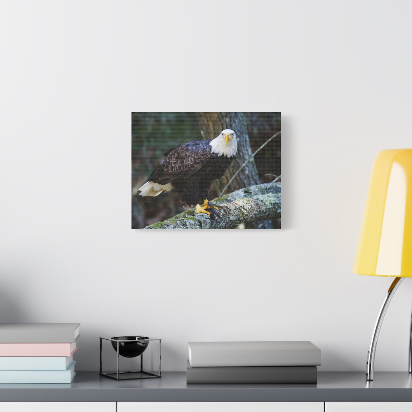 Bald Eagle Canvas Wall Art - Nature Decor for Wildlife Lovers