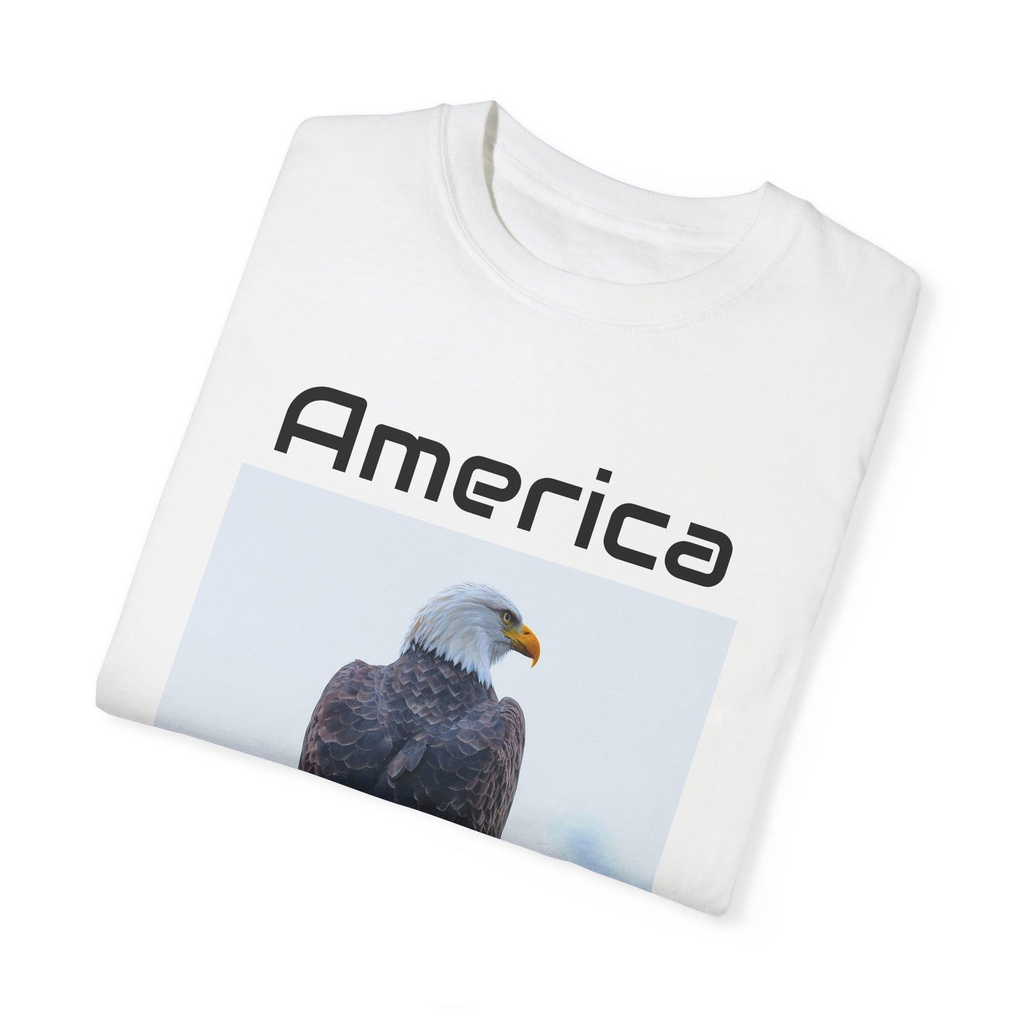 America Eagle Tshirt