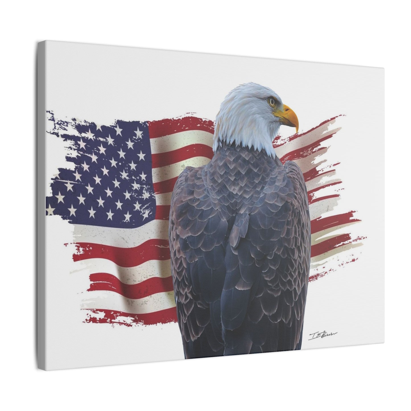 All American Artwork - Bald Eagle and American Flag