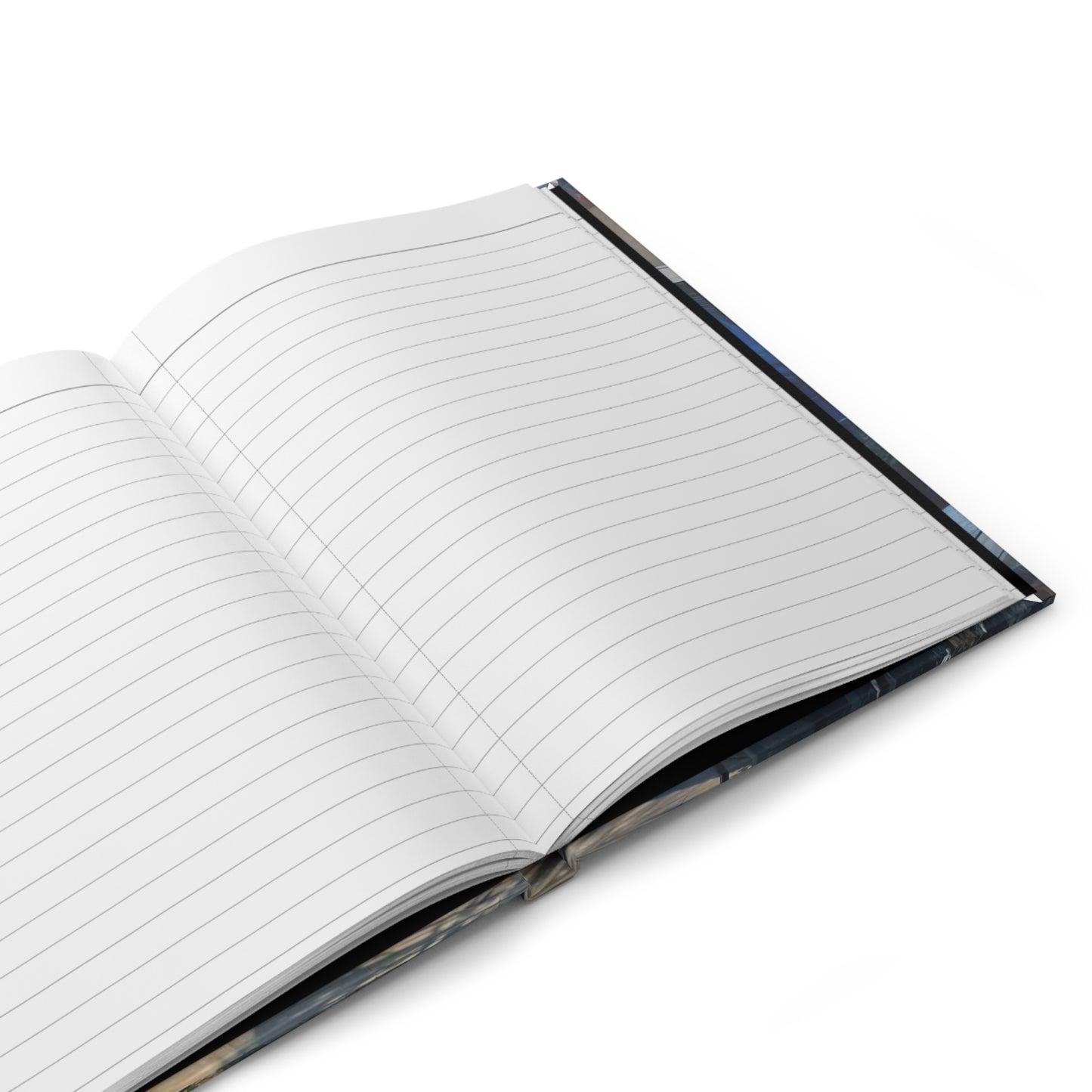Ocean Journal